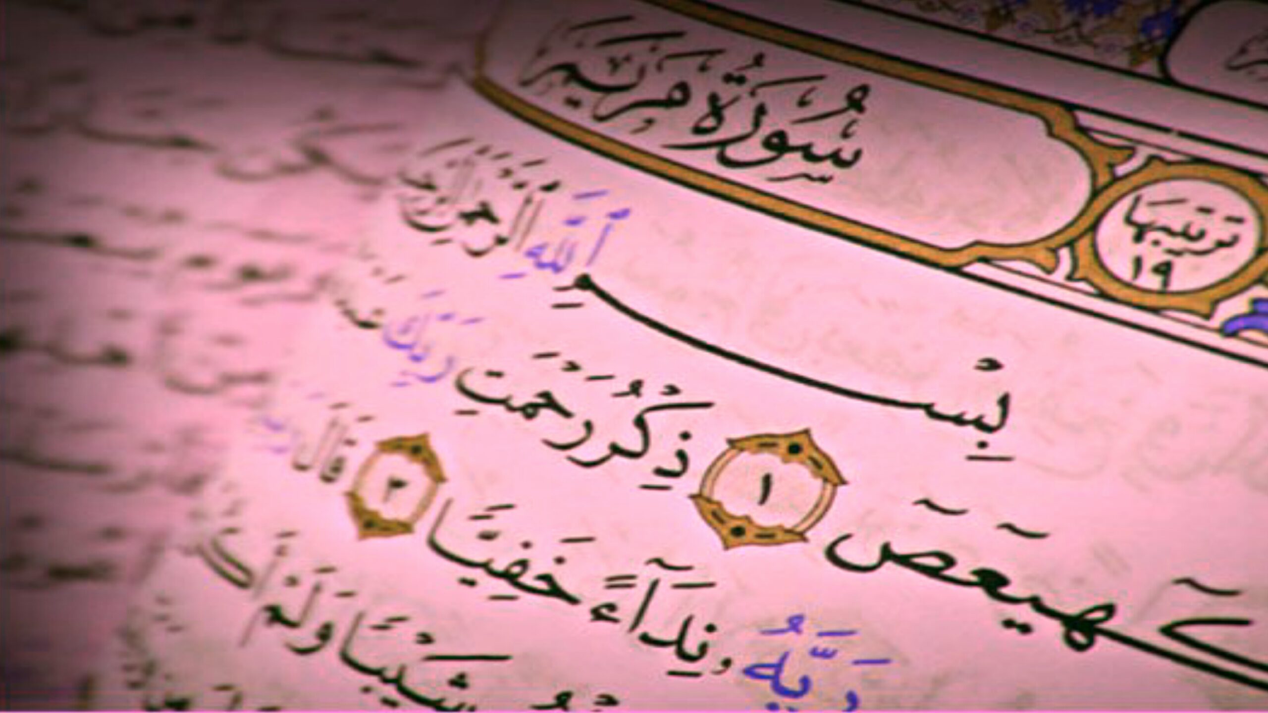 سورۃ مریم/حمل کی حفاظت/surah mariyam right way42